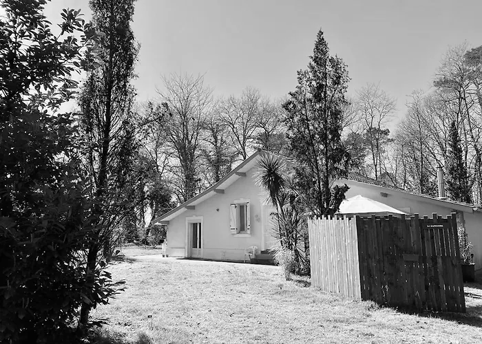 Cabane