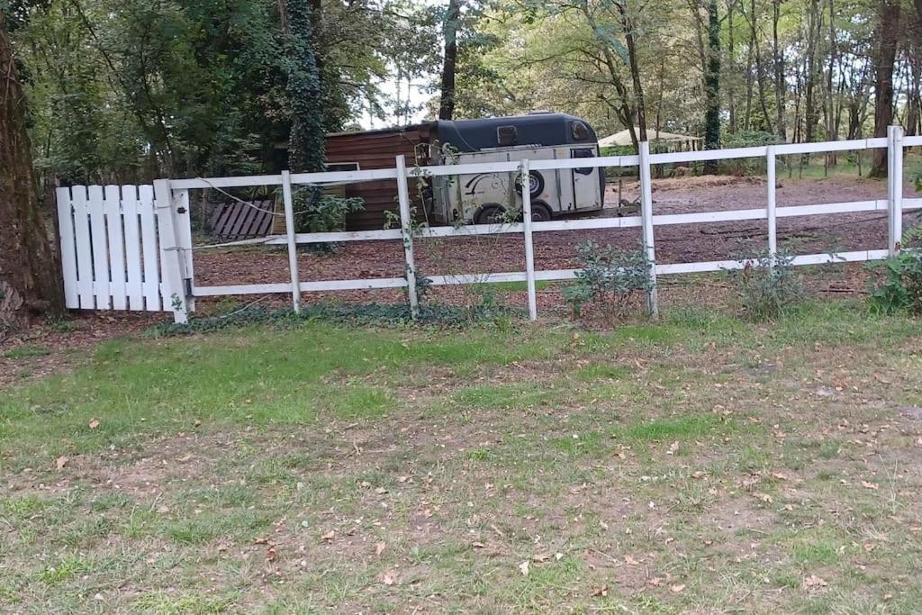 Cabane * Saint-Vincent-de-Paul (Landes)